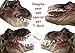 AomoriHaba Japan 3D Soft Large Rubber TRex Handpuppets - Tyrannosaurus Rex Dinosaur Head Dino Hand Puppet for Kids/Adults (Free Sticker)