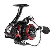 RUNCL Spinning Reel Titan I, Fishing Reel with Full Metal Body, Max Drag 33LB, 5 Carbon Fiber Drag Washers, 9+1 Stainless Steel Shielded Bearings, Hollow Out Rotor for Saltwater and Freshwater (3000)