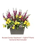 amazon product image