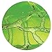 Uncle Milton Ant Farm Live Ant Habitat, Light-Up Gel Colony