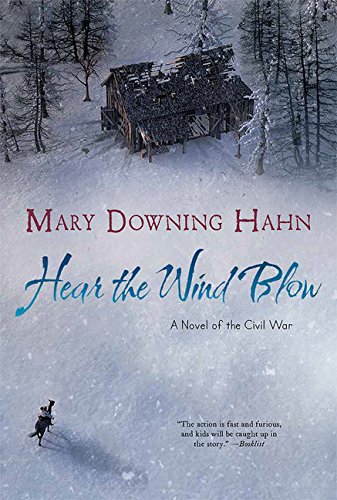 Hear the Wind Blow: A Novel of the Civil War
