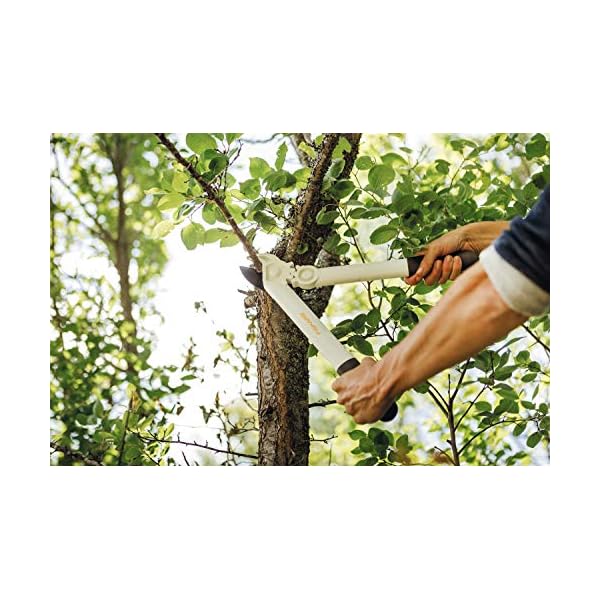 Fiskars Amboss-Getriebeastschere L32 fÃ¼r trockenes Holz und harte Zweige sowie Ãste bis Ã 3,5 cm, LÃ¤nge: 38,7 cm, Gewicht: 380 g, WeiÃ/Orange, FiberComp/Hochwertiger Stahl, Light, 1026930 – Bild 4