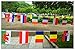 8.2'' x 5.5'' International String Flags Banners, Countries Flags Pennant Banner for Olympics,Grand Opening,Bar,Sports Clubs, Festival,Party Events Decorations (50 Countries Flags)