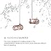 Bluetooth Headphones,LEYOUDY Wireless V4.1 Metal Noise Cancelling In-Ear Stereo Earphones Sweatproof Sports Earbuds with Mic (Support Hi-Fi music,HD calling)(Rose Gold)