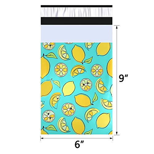 1 Mailer+Plus+Designer+Shipping+Envelopes