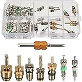 Ninth-City 55Pcs Car Automobile Assortment A/C Valve Stem Cores Air Conditioning Valve Core with Double Head Dismantling Installer Repair Tool Box Set Kit