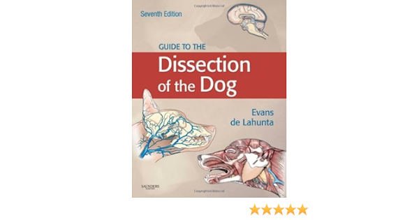 Guide To The Dissection Of The Dog 7e 7th Edition By Evans Phd Howard E De Lahunta Dvm Phd Alexander 2009 Hardcover Amazon Com Books
