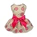 Fitwarm Sweet Ice Cream Pet Clothes for Dog Dresses Vest Shirts Sundress Pink Medium