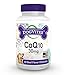 Health Thru Nutrition Dog-Vites CoQ10 for Dogs, 60 Beef-Flavored Chewable Tablets, 30mg
