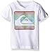 Quiksilver Baby Boys'' Digidots Tee