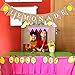 Cieovo Jute Burlap Lemonade and Lemon Banner Summer Lemon Theme Baby Shower Gender Reveal Birthday Party Mantel Fireplace TV Stand Decoration