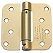 Dynasty Hardware Door Hinges, 4-Inch Spring Loaded Self Closing Hinges with 5/8