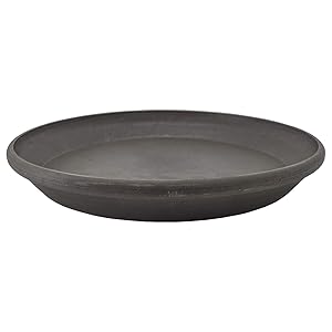 Arcadia Garden Products PSW AP35DC Single Saucer, 14-Inch, Dark Charcoal