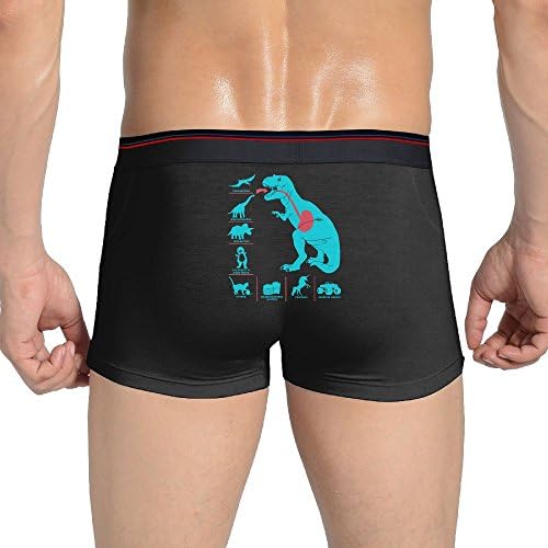 Men'smint Dinosaur Hipsters Hipsters Panties Brief Hipsters Black L