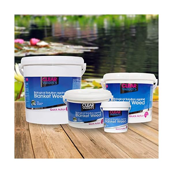 CLEAR-waters-Nishikoi-Blanketweed-Treatment-1L CLEAR waters Nishikoi Blanketweed Treatment 1L