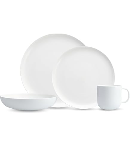 Amazon.com | Eater x Zwiesel Fortessa Foss Stoneware, 12 Piece