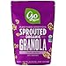 Go Raw Gluten Free Granola, 16 Oz bags Keto, Vegan, Organic, Grain Free, Nut Free, 1 Pound (859888), Raisin Crunch, 32 Oz (Pack of 2)