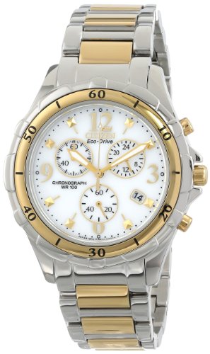 Citizen Women's Two-Tone Stainless Steel Eco-Drive Nigeria Ubuy