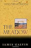 Front cover for the book The Meadow by James Galvin