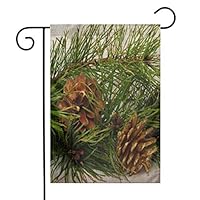 GDjiuzhang Christmas Home Garden Flags,Double Sided Outdoor Decorative Yard Flags(Christmas Brown Regular Gold Pine Cones Tree On Branch Nature Fir Seed White)