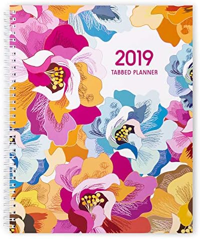 Shiplies 2019 Daily Weekly & Monthly Planner, Personal Agenda Organizer with Note Pages (21.5x28cm)