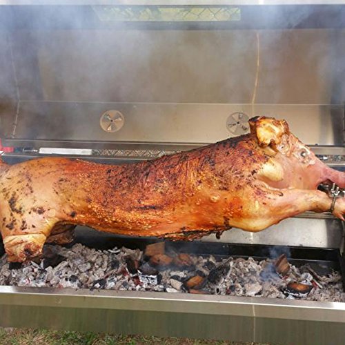 Titan Rotisserie Grill Roaster Spit w/ Glass Hood Review Best Grill