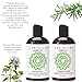Laritelle Organic Travel Size Shampoo 2 oz + Travel Size Conditioner 2 oz | Organic Quinoa + Keratin + Follicle Stimulating Rosemary, Ginger & Grapefruit | NO GMO. Vegan