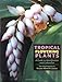 Tropical Flowering Plants: A Guide to Identification and Cultivation by Kirsten Albrecht Llamas