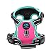 PHOEPET 2019 Upgraded No Pull Dog Harness, Reflective Adjustable Vest, with a Training Handle + 2 Metal Leash Hooks+ 3 Snap Buckles +4 Slide Buckles(XS, Pink)