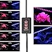 [2018 Upgraded] 18W Dual Head Timing LED Grow Lamp 36 LED Chips 2-Mode with Red/Blue Spectrum for Indoor Plants, Timer 3/6/12H, 5 Dimmable Levels, Adjustable Gooseneck