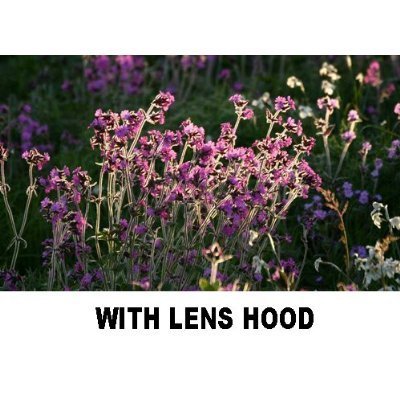 PLR Optics 40.5MM Lens Hood For The Olympus OM-D E-M5, E-M1, E-M10, PEN-E-PL3, PEN-E-PL5, E-PL6, E-PL7, E-P5, E-PM1, E-PM2, PEN E-P3, PEN E-P2, PEN E-PL1, E-PL2, GX1 Digital SLR Cameras Which Has The ZUIKO Digital ED 14-42mm f3.5 - 5.6 "Micro" 4/3 Zoom Ol