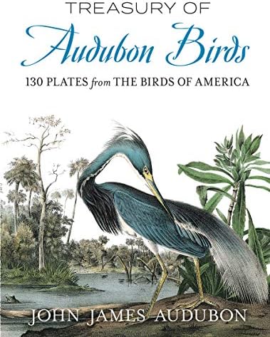 The Art of the Bird: The History of Ornithological Art through