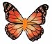 Forum Novelties Women's Monarch Butterfly Wings