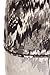 N369-OS Gray Jay Printed Stylish Leggings, One Size