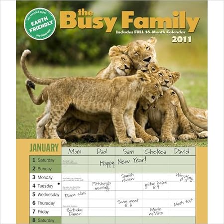 Amazon.com : The Busy Family 2011 Wall Calendar : Office Products