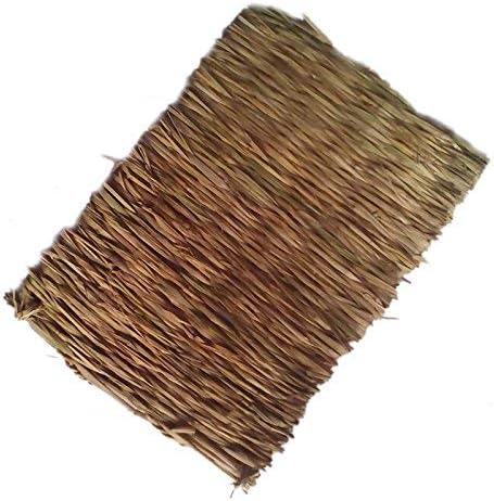 EAGLESTIME Small Animal Grass Chew Mat for Rabbit Rat Hamster (40 x 28 x 1 cm)