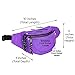DALIX Fanny Pack w/ 3 Pockets Traveling Concealment Pouch Airport Money Bag (Purple)