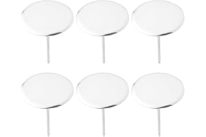 TOYANDONA Cake Flower Nails Icing Decoration Tool 6pcs Lightweight Stainless Steel Metal Rose Nail for Cakes