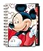 National Design Mickey and Friends 5 x 7