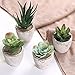 MyGift Faux Succulent Plants, Assorted Decorative Artificial Succulent Plants with Gray Pots, Set of 4