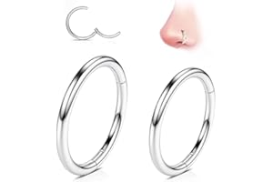 2Pcs G23 Titanium Nose Rings Hoops 20G 18G 16G Septum Rings 8mm 10mm Hypoallergenic Tragus Cartilage Hoops Earrings Piercing 