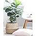 VNCraft Foldable Large Seagrass Belly Basket with Handles for Storage, Nursery Laundry Tote Beach Bag Plant Pots Cover Indoor Decorative