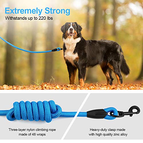 5FT Strong Dog Leash with Heavy Duty Padded Comfortable Handle Built-in Dog Waste Dispenser and Bags for Walking Training Hiking Outdoors (5FT, Black)