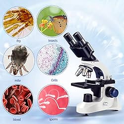 Compound Binocular Microscope Kids Adults