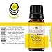 Plant Therapy Organic Lemon Essential Oil 100% Pure, USDA Certified Organic, Undiluted, Natural Aromatherapy, Therapeutic Grade 10 mL (1/3 oz)
