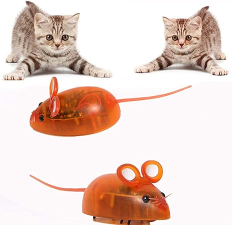 Regali Di Natale Per Gatti.Yongkanghappy Gioco Gatto Topolino Telecomandato Per Gatti Gatto Regali Di Natale Regali Per I Gatti Giocattoli Del Gatto Gatto Giocattolo Amazon It Casa E Cucina