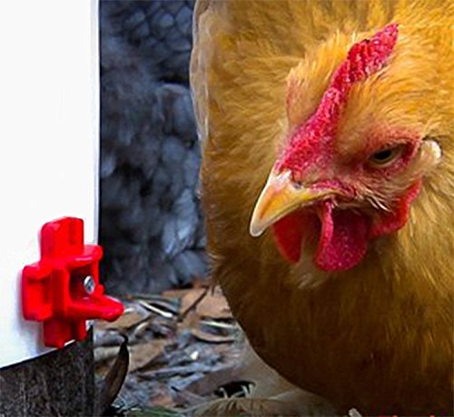 4 Cruzadel+Pack+Horizontal+Automatic+Poultry