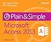 Microsoft Access 2013 Plain & Simple