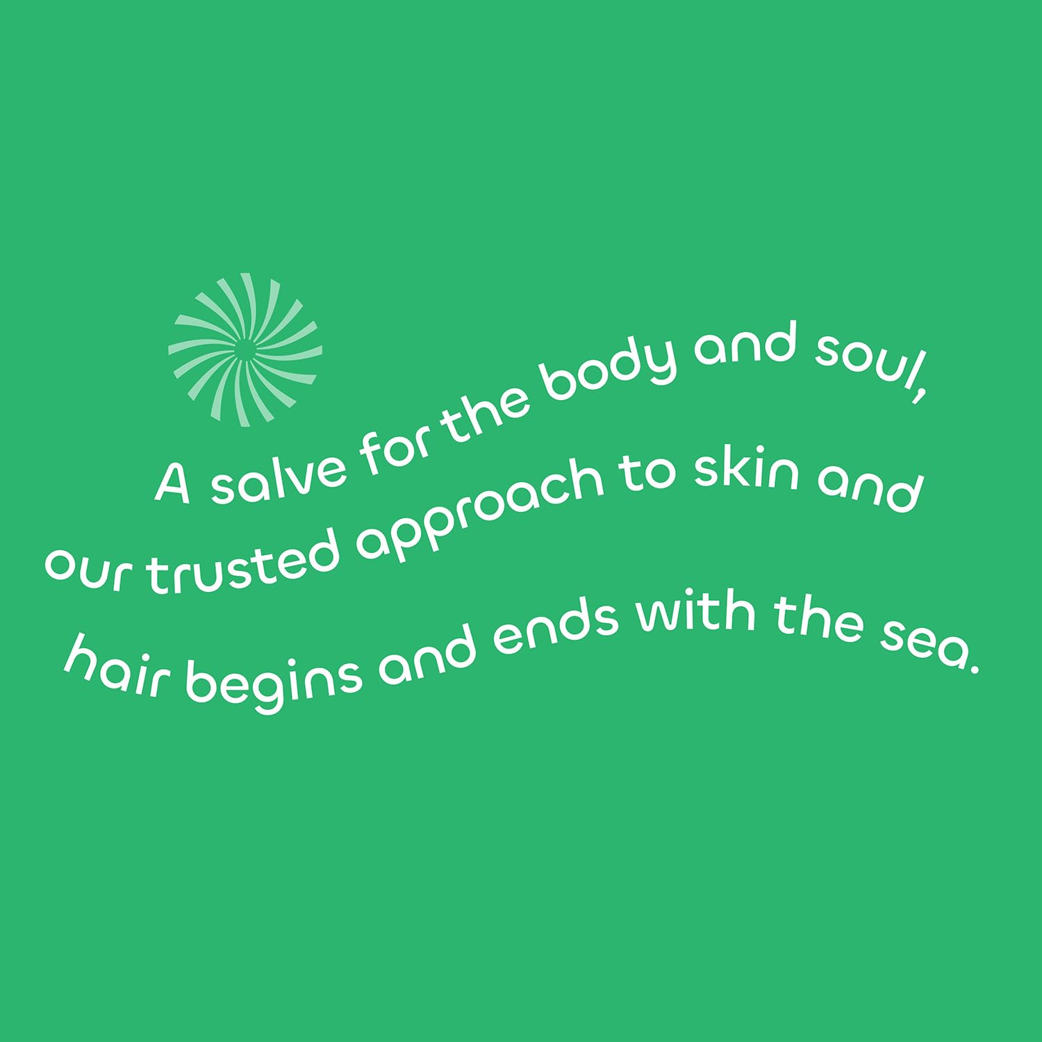 Seaweed Bath Co. Detox Body Scrub, Rosemary Mint Scent, 6 Ounce, Sustainably Harvested Seaweed, French Sea Clay, Coffee Extract