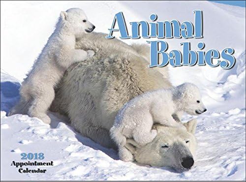 Animal Babies 2018 Wall Calendar - 18" x 11" (Open) Hanging Appointment Calendar